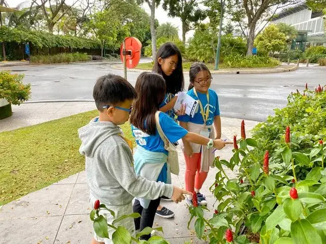 Group activities